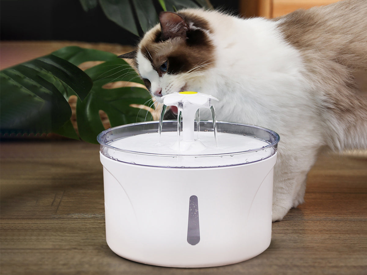 RYG Pet Water Dispenser